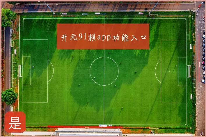 开元91棋app功能入口